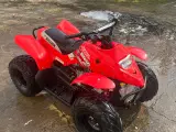 ATV Apex 100cc kvalitet - 2