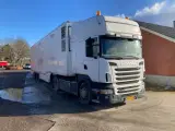 Scania med HMF grisetrailer