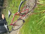 RacerCykel