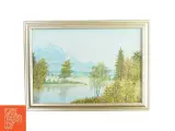 Maleri i ramme natur billede  Ukendt (str. LB:62,5x46cm) - 3