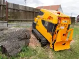 Laski P56 RX - 5