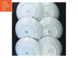Sæt af 6 porcelænstallerkener fra Arzberg (str. Hvis i mangler paller, så er vi sat dem over under den nye reol derovre) - 2