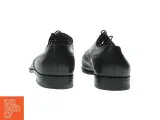 Herre sko læder - 3