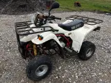 Blueberry 125 ATV - 2