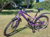 Pigecykel
