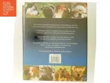 Alt om hunde af David Alderton (Bog) - 3