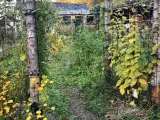 Unikt mødelokale i naturskønne områder – ideelt til erhvervsmøder og netværksarrangementer - 5