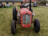 IMT 533 De luxe - 4
