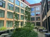 Lyst og lækkert lejemål i augusthus - 5