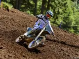 Yamaha YZ 250 F Monster Energy Yamaha Racing Edition - 2