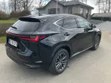 Lexus NX450h+ 2,5 Executive aut. AWD - 3