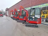 MOLE M20 - 3