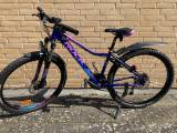 Pigecykel