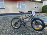 20" Fatbike