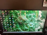 540 hz 24,1" ASUS ROG Swift Pro PG248QP - 1920x108 - 2