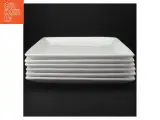 Hvide firkantede tallerkner fra Aida 6 stk (str. 26,5 x 26,5 cm) - 3