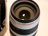 Super telezoom. Ultrasonic motor - 4