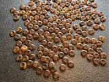 184 knapper