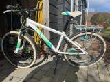 Raam cykel 
