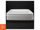 Hvide firkantede tallerkner fra Aida 6 stk (str. 26,5 x 26,5 cm) - 5