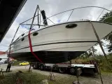 Bayliner 2955 Avanti (8,2 MAG,ho) - 2