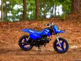 Yamaha PW 50 - 5