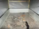 Leje af 500kg trailer 1 døgn - 3