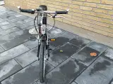 Kildemoes bikerz 20"