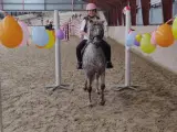 3èr pony hoppe - 2