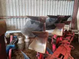 Naud 57 med fiberplader og jord pakker - 3