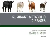 Ruminant Metabolic Diseases, An Issue of Veterinary Clinics of North America: Food Animal Practice