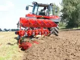 Unia Ibis XMS 3+1 - 2