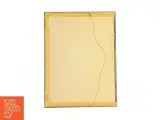 Indrammet botanisk plakat (str. 40 x 30,5 cm) - 2