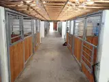 Hestebokse TILBUD - 