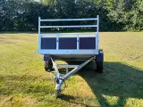 Neptun Trailwood 253-1 GN115 - 5