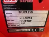 Maschio Brava 250 - 4
