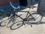  Raleiah hr cykel - 2