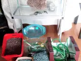 Akvarium
