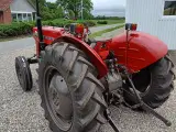 massey ferguson 135 - 4