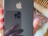 IPhone XS Max 