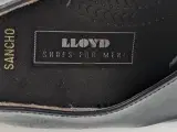 Lloyds laksko  - 3