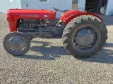 Massey Ferguson  35   Traktor Benzin - 4