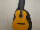 Guitar (udlejning) - 2
