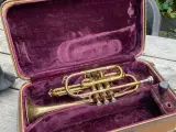 Cornet