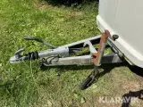 Hestetrailer Westfalia - 3