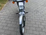 Honda wallaroo scooter knallert