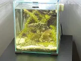 20 l akvarium
