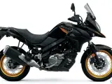 Suzuki DL 650 XT V-Strom - 3