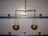 Urtepotteskjuler