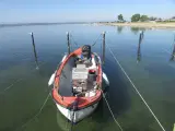 båd med indenbors-motor - 5